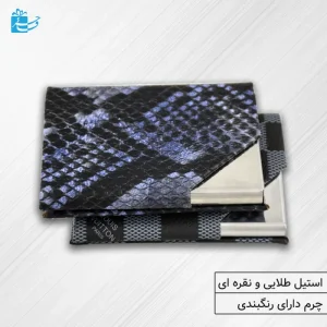 جاکارتی مگنتی پوست ماری رنگبندی اسپرت مدل دیورا