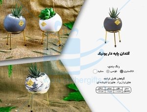 گلدان پایه دار بتنی با گل هاوارتیا مدل یونیک-2720