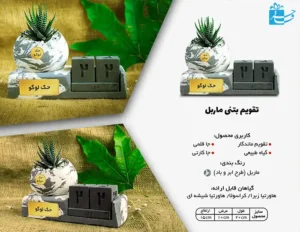 گلدان بتنی هاوارتیا و تقویم رومیزی با پایه بتنی ماربل-2711