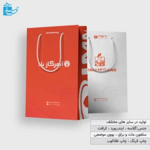 بگ کاغذی بند دار با روکش سلفون مات